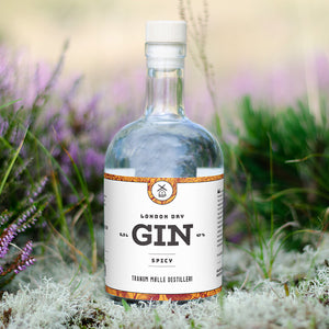 TMD LONDON DRY GIN SPICY